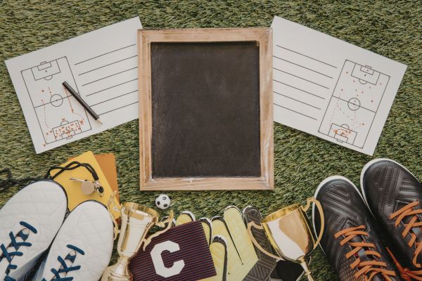 Madden 24 offensive playbook tips