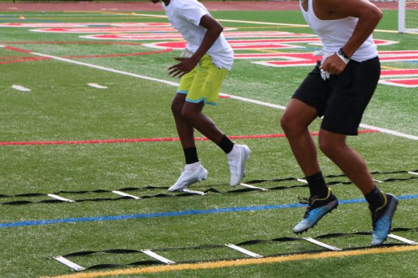 speed and agility ladder drills