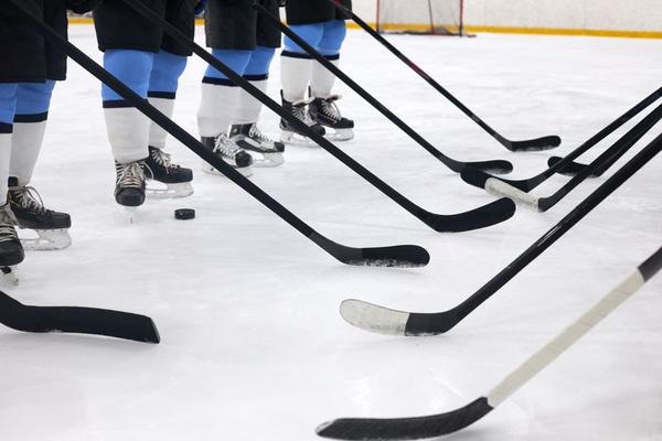 hockey stick flex guide