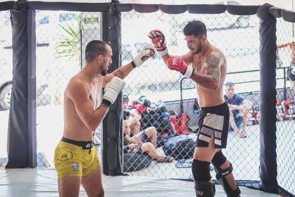 mma striking vs grappling